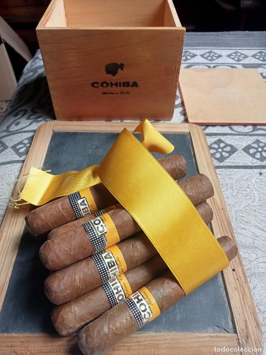Cajas de puros: CAJA CON 10 PUROS ROBUSTOS COHIBA