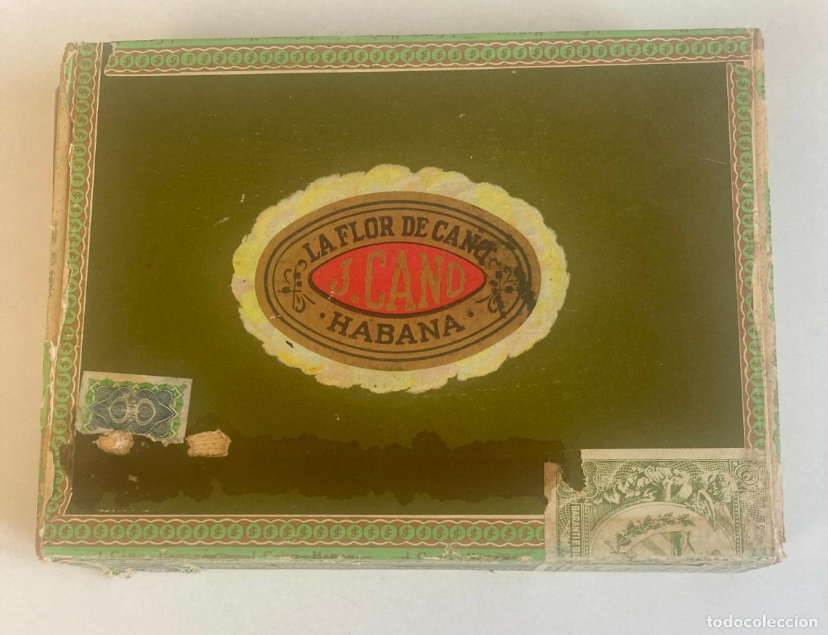 Cajas de puros: Caja de puros, La Flor de Cano - Habana - con 24 puros