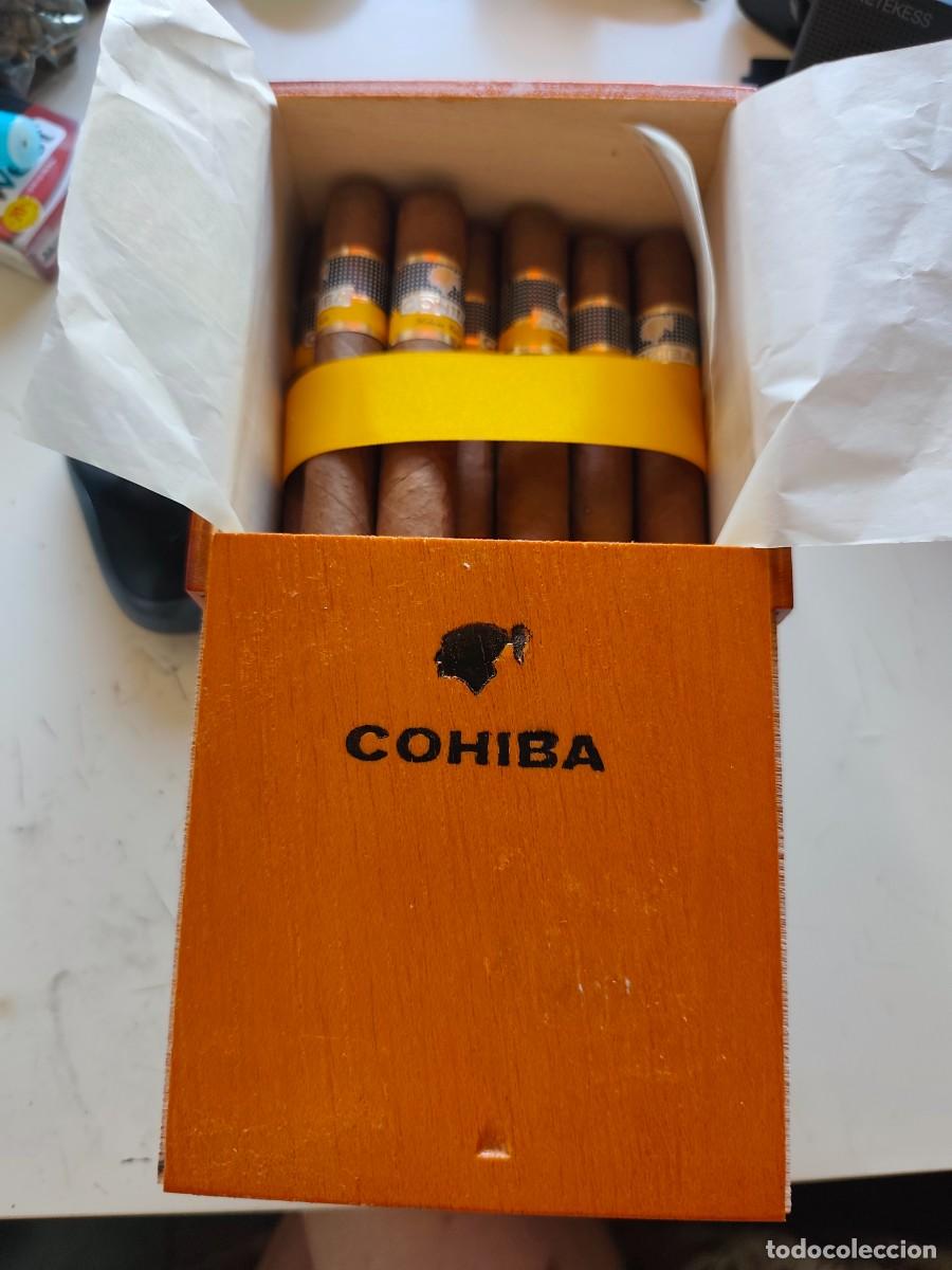 Cajas de puros: Puros Cohiba Robustos