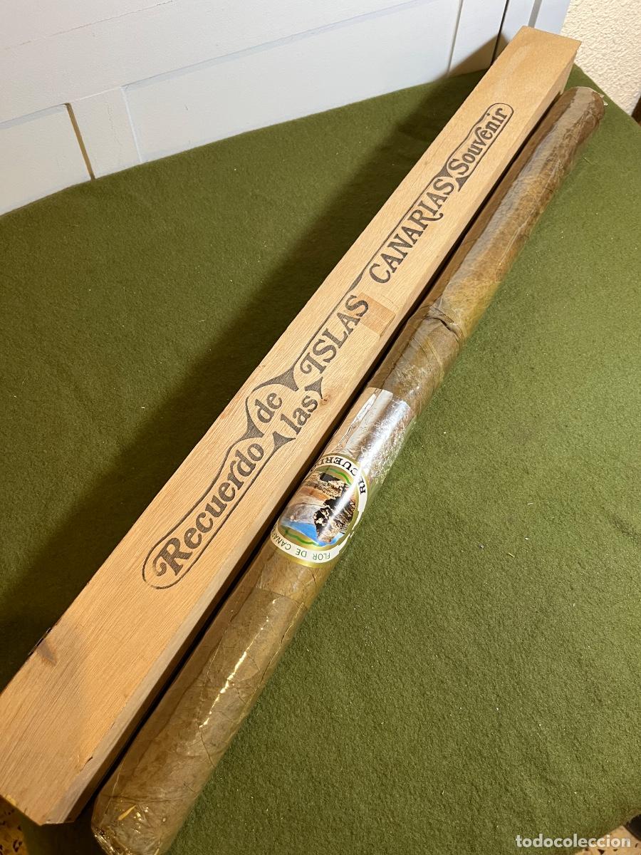 Cajas de puros: Antiguo puro gigante Flor de Canarias con caja original de madera &ndash; Souvenir Islas Canarias &ndash; 64 cm