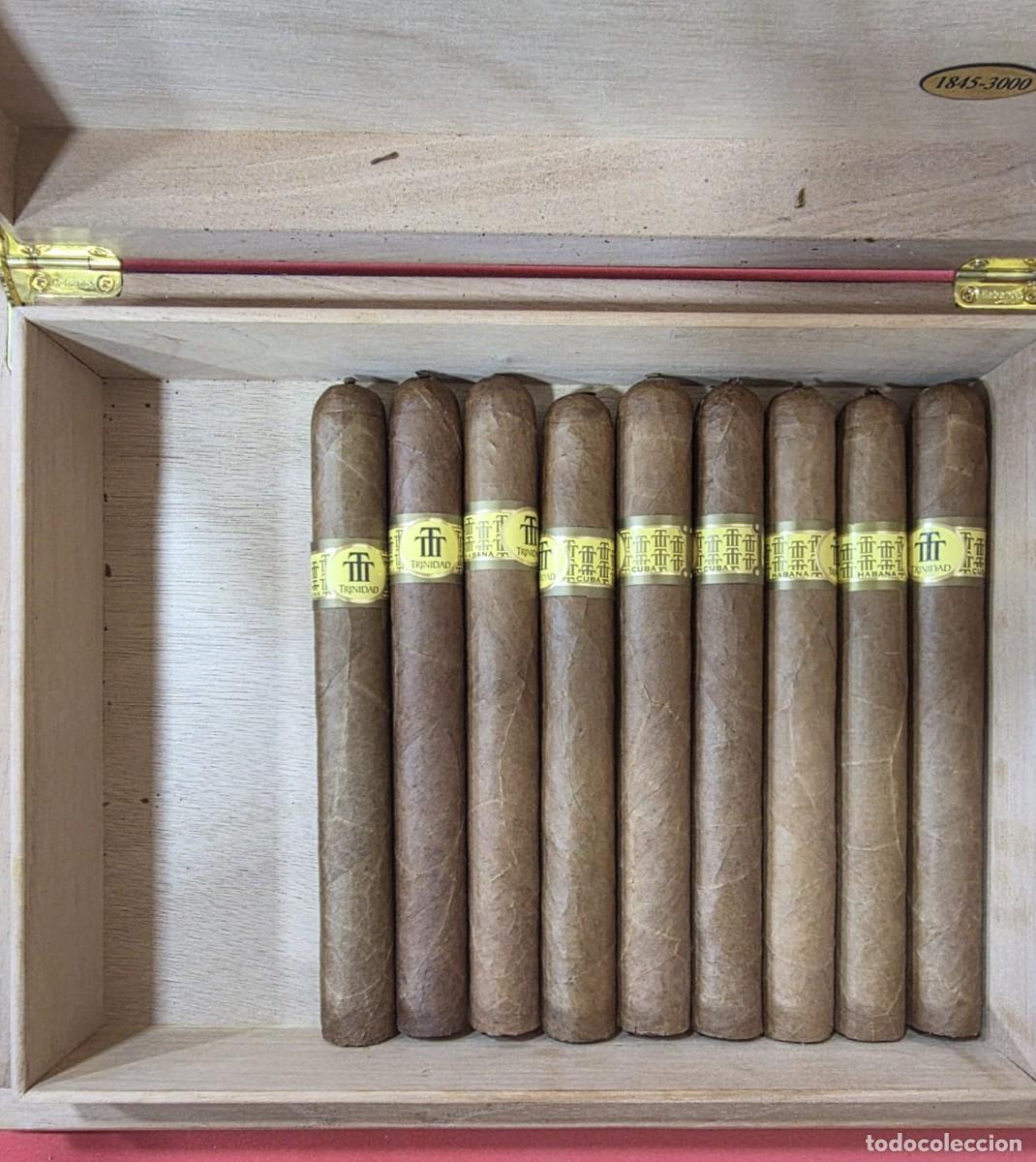 Caixas de Charutos: Caja de puros colecci&oacute;n habanos tomo XVI Trinidad Casilda con nueve cigarros.