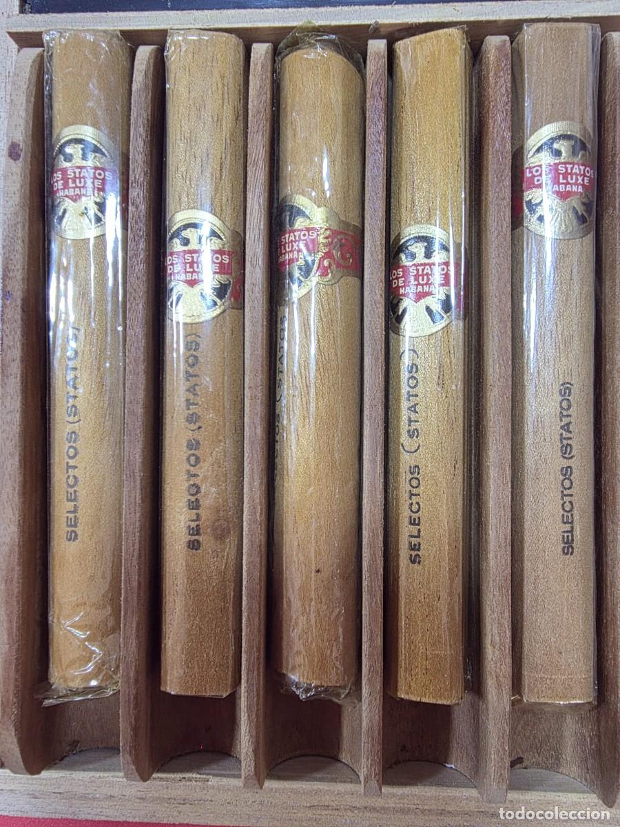 Cigar Boxes: Caja de puros habanos Selecci&oacute;n piramides con cinco cigarros Los Statos.