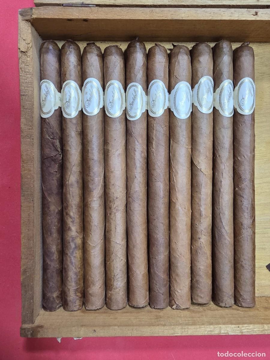 Cajas de puros: Caja de puros habanos Davidoff con 10 cigarros.
