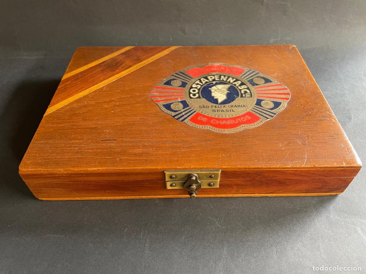 Cigar Boxes: CAJA PUROS COSTA PENNA (SAO FELIX BAHIA ) BRASIL - 25 CHARUTOS CLAROS - HAVANA SUPERIOR MEDIOS