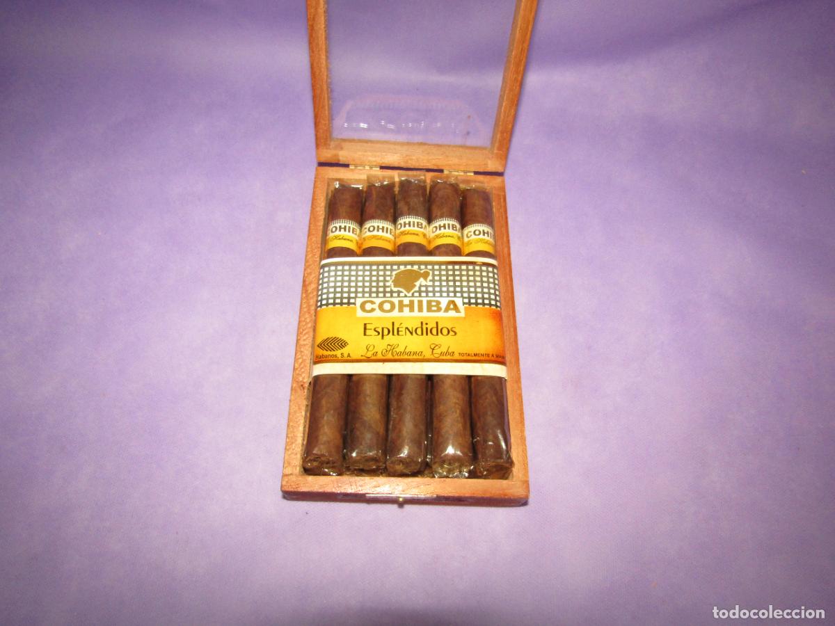 Cajas de puros: Caja de Madera Completa de Cigarros Puros con 10 ESPLENDIDOS Hechos a Mano de COHIBA La Habana Cuba