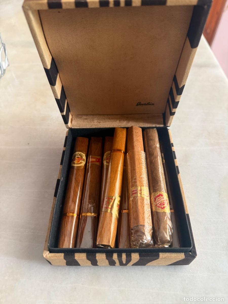 Cajas de puros: Caja de puros cl&aacute;sicos de colecci&oacute;n
