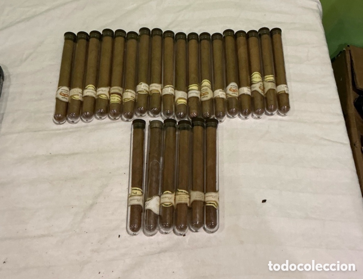 Cajas de puros: Lote de 24 tubos de cristales transparentes con puros de boda medidas 16 cm para coleccionistas