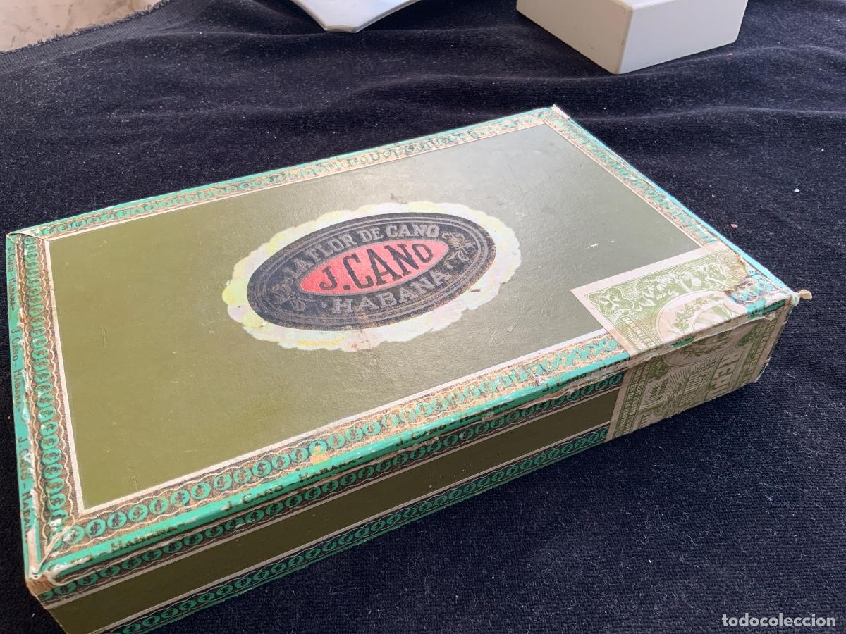 Cajas de puros: Antigua caja de puros vacia, la flor de cano, Habana, cuba