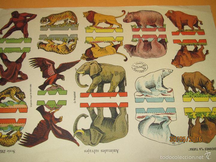 Coleccionismo Recortables: Antigua Hoja de Animales Salvajes Dobles Recortables Serie IMPERIO 24 Edicione LA TIJERA - Año 19460 - Foto 2 - 57181475