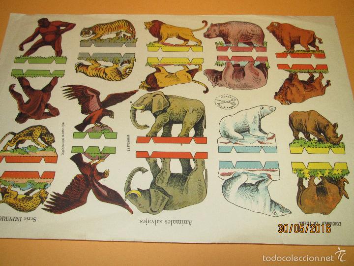 Coleccionismo Recortables: Antigua Hoja de Animales Salvajes Dobles Recortables Serie IMPERIO 24 Edicione LA TIJERA - Año 19460 - Foto 3 - 57181475