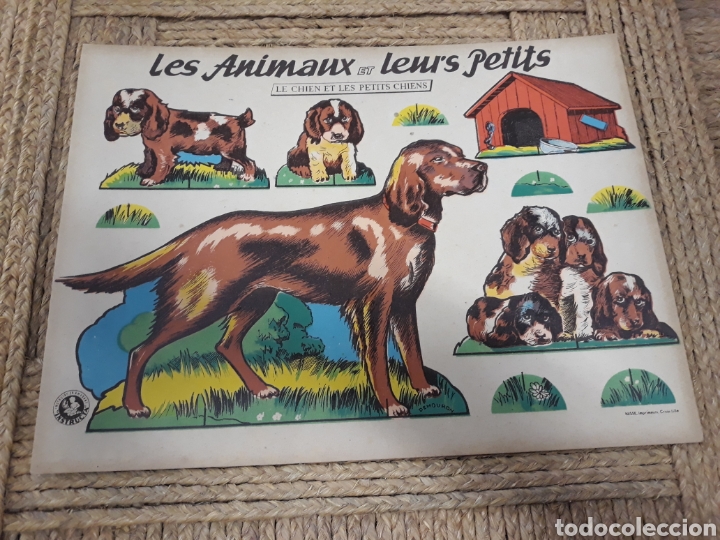 Coleccionismo recortables: Recortable animales - Foto 1
