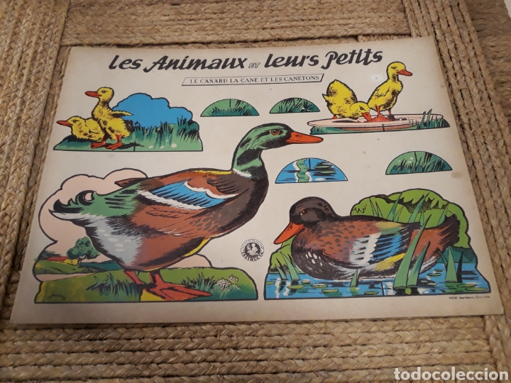 Coleccionismo recortables: Recortable animales - Foto 1