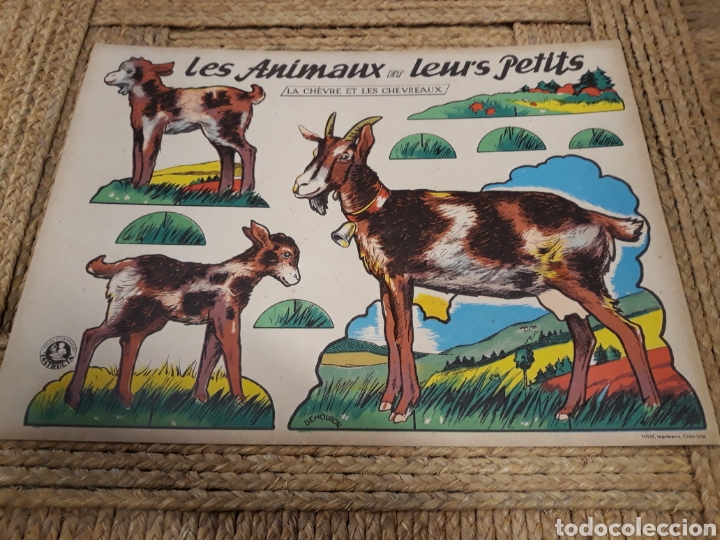 Coleccionismo recortables: Recortable animales,. - Foto 1