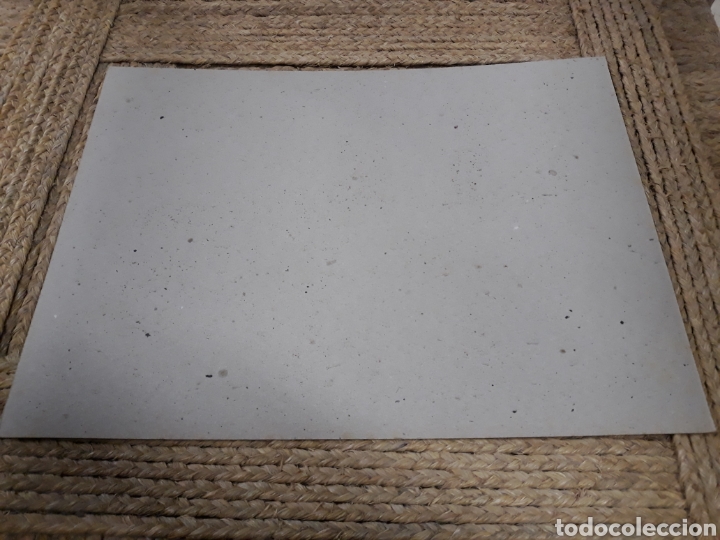 Coleccionismo recortables: Recortable animales,. - Foto 2
