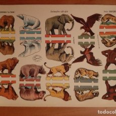 Coleccionismo Recortables: RECORTABLE ANIMALES SALVAJES - LA TIJERA /SERIE IMPERIO Nº 24
