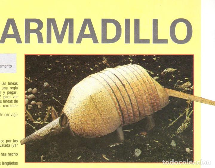 Coleccionismo Recortables: RECORTABLE ARMADILLO. Rialp 1990 - Foto 1 - 232748545