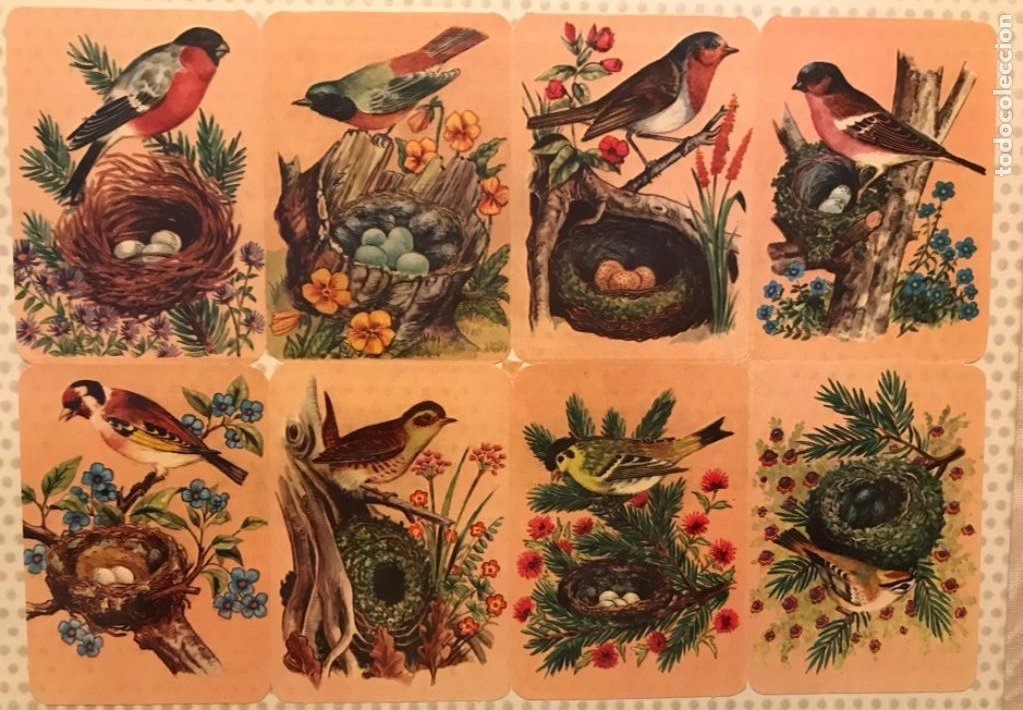 Coleccionismo Recortables: LAMINA DE 8 CROMOS TROQUELADOS Mucho brillo y relieve. Pájaros y nidos - Foto 1 - 301774768