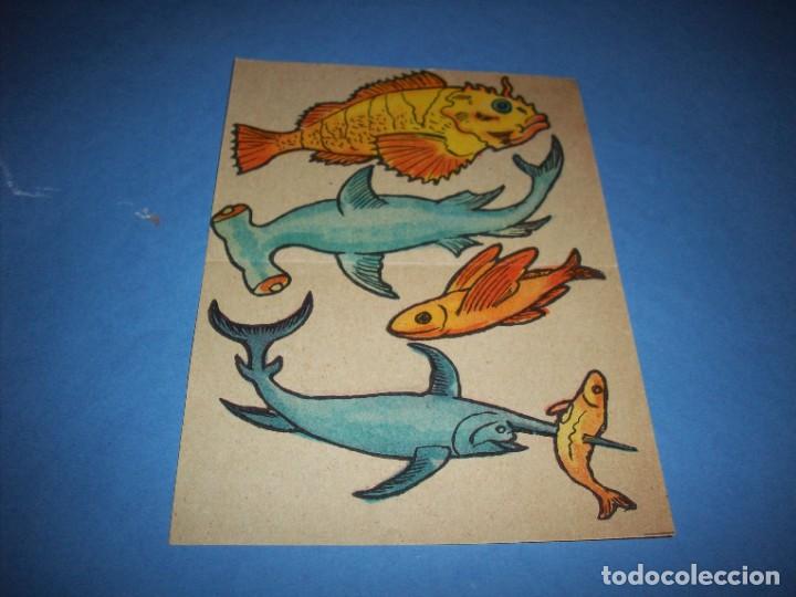 Coleccionismo recortables: lamina recortable peces - Foto 1