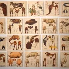 Coleccionismo Recortables: 28 ANTIGUOS ( 1945 ) ANIMALES RECORTABLES ALEMANES : ABADIE'S MENAGERIE. Lote 401157994