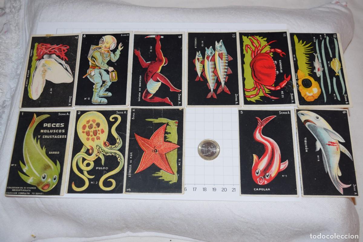 Coleccionismo recortables: 11 Cromos PARA RECORTAR - Chocolates SUPREMO / PECES, MOLUSCOS y CRUSTACEOS Serie A ¡Mira, DIFÍCIL!