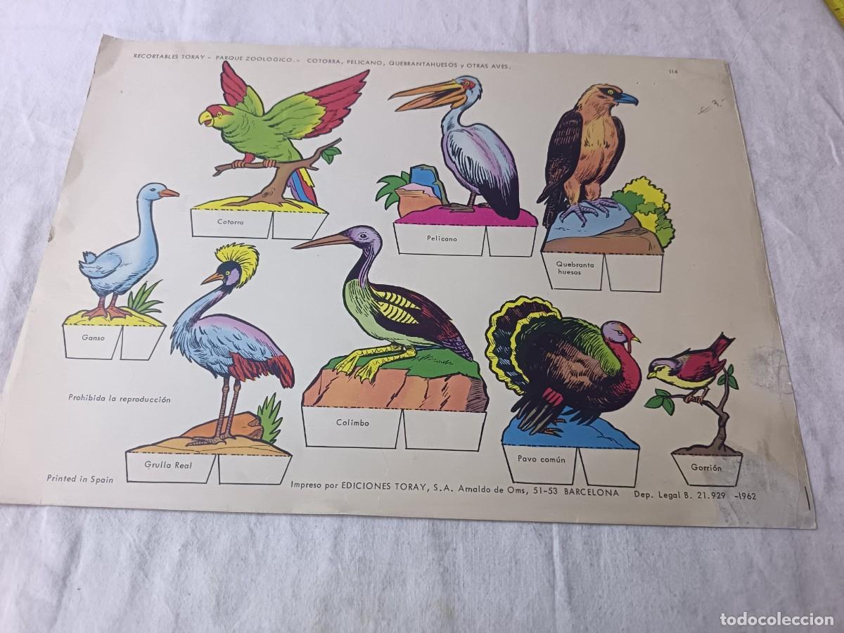 Sammeln von Bastelb&ouml;gen: Antigua Hoja de Recortable, Toray, Cotorra, Pel&iacute;cano, Quebrantahuesos y otras aves
