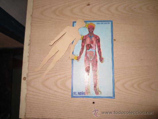 Coleccionismo recortables: recortable kelloggs - Foto 2