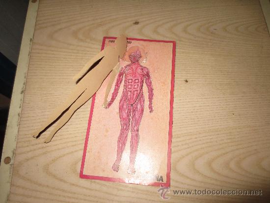 Coleccionismo recortables: recortable kelloggs - Foto 2
