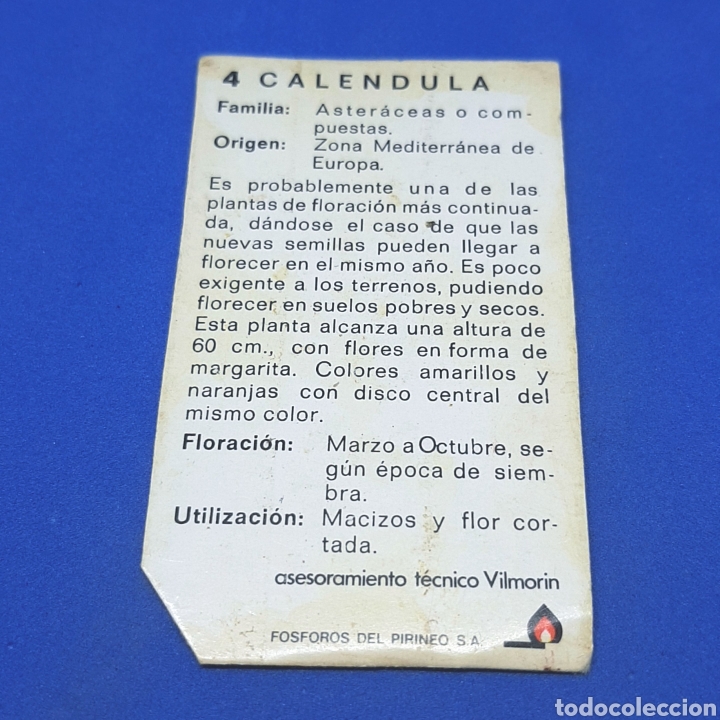 Coleccionismo recortables: (58.3) RECORTABLE - Foto 1
