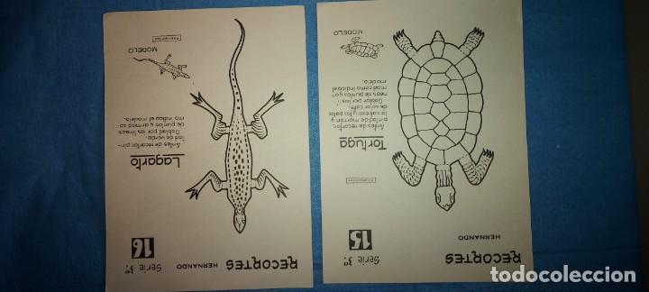 Coleccionismo recortables: RECORTABLES ANIMALES - Foto 1