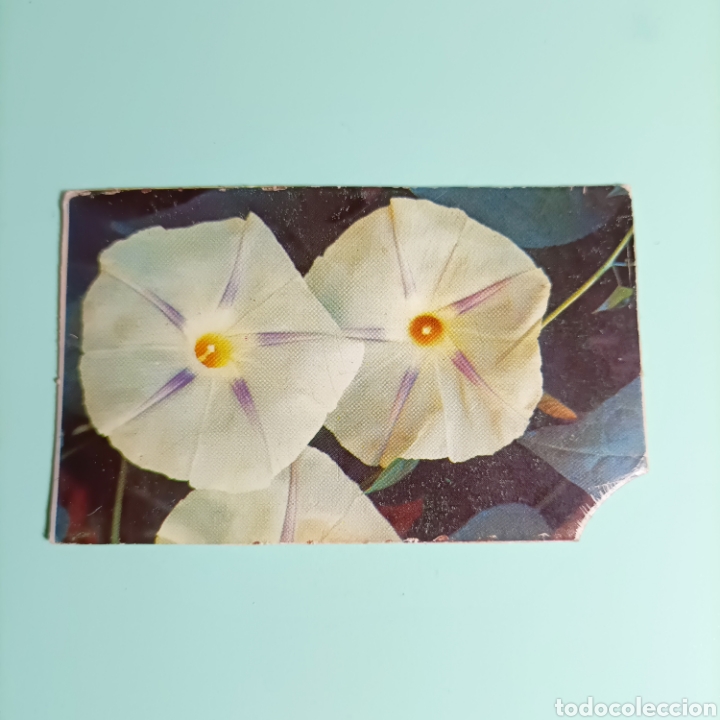 Coleccionismo recortables: (PDX.4) RECORTE CARTON - Foto 1