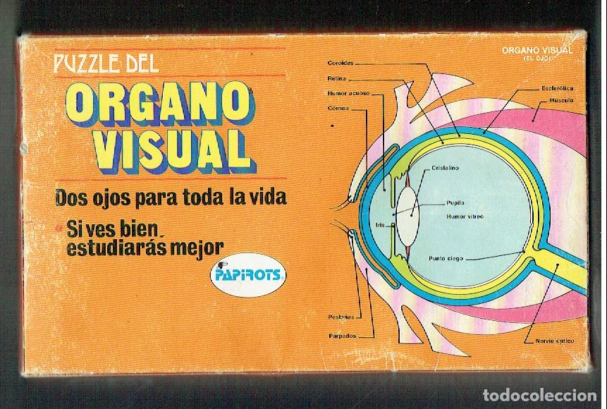 Coleccionismo Recortables: PUZZLE DEL ORGANO VISUAL. CAMPA&Ntilde;A DE PROTECCION OCULAR. DOS OJOS PARA TODA LA VIDA. (DVD/&Ntilde;5)