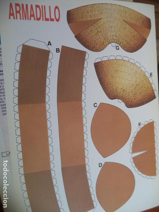 Coleccionismo recortables: ARMADILLO 4PAGINAS 29X20,5 CM - Foto 1