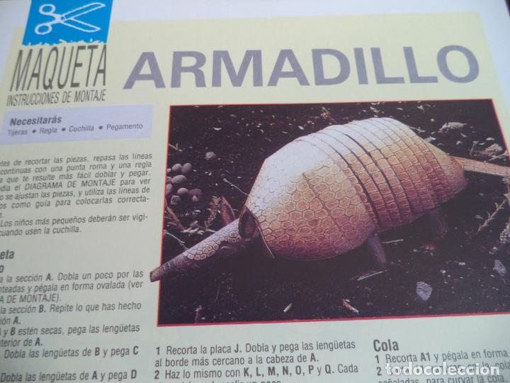 Coleccionismo recortables: ARMADILLO 4PAGINAS 29X20,5 CM - Foto 2