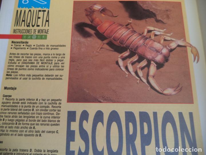Coleccionismo recortables: ESCORPION 4 PAGINAS    29X20,5 CM - Foto 2