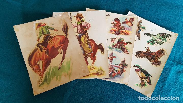 Coleccionismo recortables: LOTE 4 CALCOMANIAS CABALLOS Y AVES - RW - Foto 1