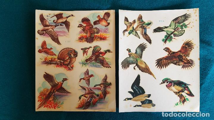 Coleccionismo recortables: LOTE 4 CALCOMANIAS CABALLOS Y AVES - RW - Foto 4