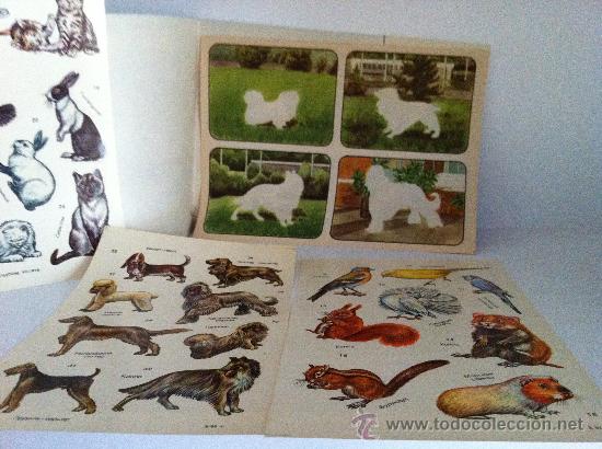 Coleccionismo recortables: CALCOMANIAS animales SOVIETICOS COLECCION - Foto 5