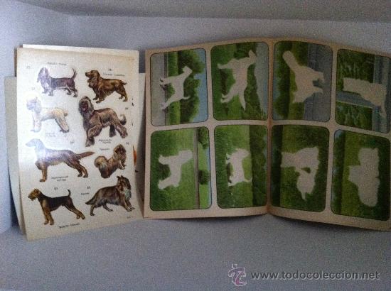 Coleccionismo recortables: CALCOMANIAS animales SOVIETICOS COLECCION - Foto 3