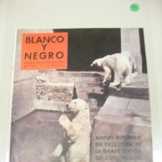 Coleccionismo de Revista Blanco y Negro: 1018- REVISTA BLANCO Y NEGRO 8 AGOS 1959 Nº 2466 PORTADA OSOS DEL RETIRO (44). Lote 118575983
