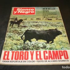Coleccionismo de Revista Blanco y Negro: REVISTA BLANCO Y NEGRO MAYO 1966 EL TORO Y EL CAMPO