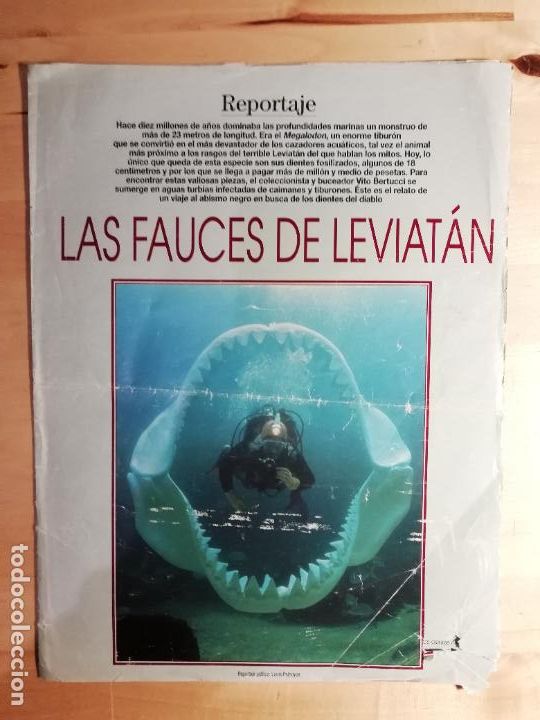 Collezionismo di Rivista Blanco y Negro: Reportaje Naturaleza El espect&aacute;culo de la vida Blanco y Negro