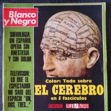 Coleccionismo de Revista Blanco y Negro: BLANCO Y NEGRO Nº 3171 - AÑO 1973 - LO QUE EL TELESPECTADOR NO SABE DEL UN, DOS, TRES... Lote 339871063