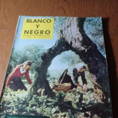 Coleccionismo de Revista Blanco y Negro: REVISTA 1957 ADOLFO FERNÁNDEZ LOCUTOR DE MURCIA. TEMPORADA LICEO BARCELONA.ARIÑO RECORD SALTO ALTURA