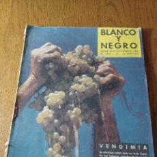 Coleccionismo de Revista Blanco y Negro: REVISTA 1958 VIÑAS MUSEO DEL VINO. VILLAFRANCA PENEDES MONTILLA . LA GUERRA DE ARGELIA . CHURCHILL. Lote 344035098