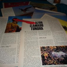 Coleccionismo de Revista Blanco y Negro: RECORTE : FELIX RODRIGUEZ DE LA FUENTE : UN AZOR LLAMADO TUNDRA. BLANCO NEGRO, ABRIL 1967. Lote 365263586