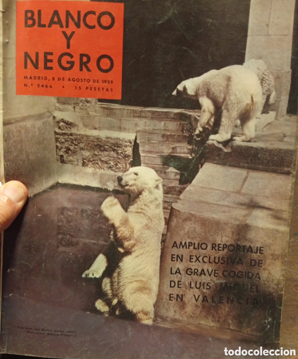 Coleccionismo de Revista Blanco y Negro: Blanco y negro vieja revista