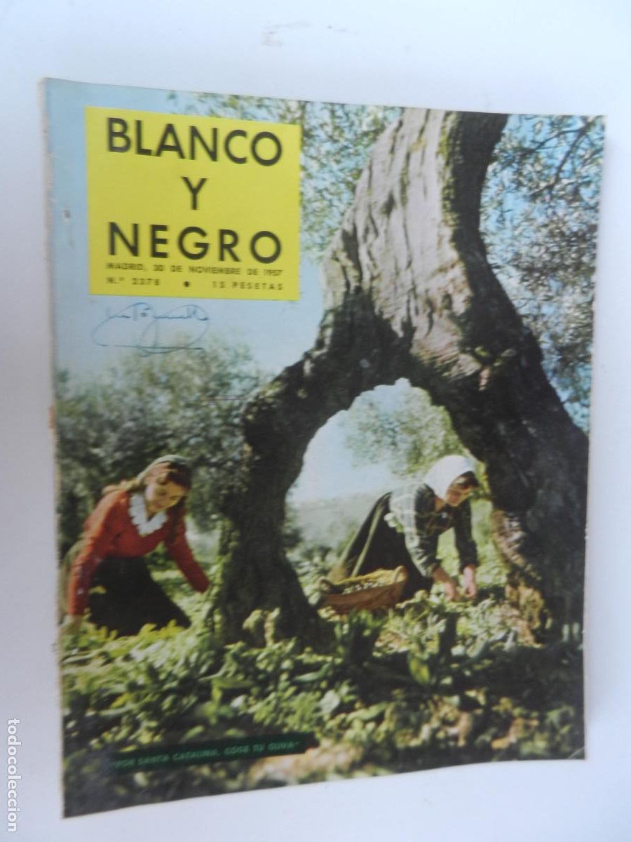 Coleccionismo de Revista Blanco y Negro: BLANCO Y NEGRO N&ordm; 2378 - 11-1957 - POR SANTA CATALINA , COGE TU OLIVA