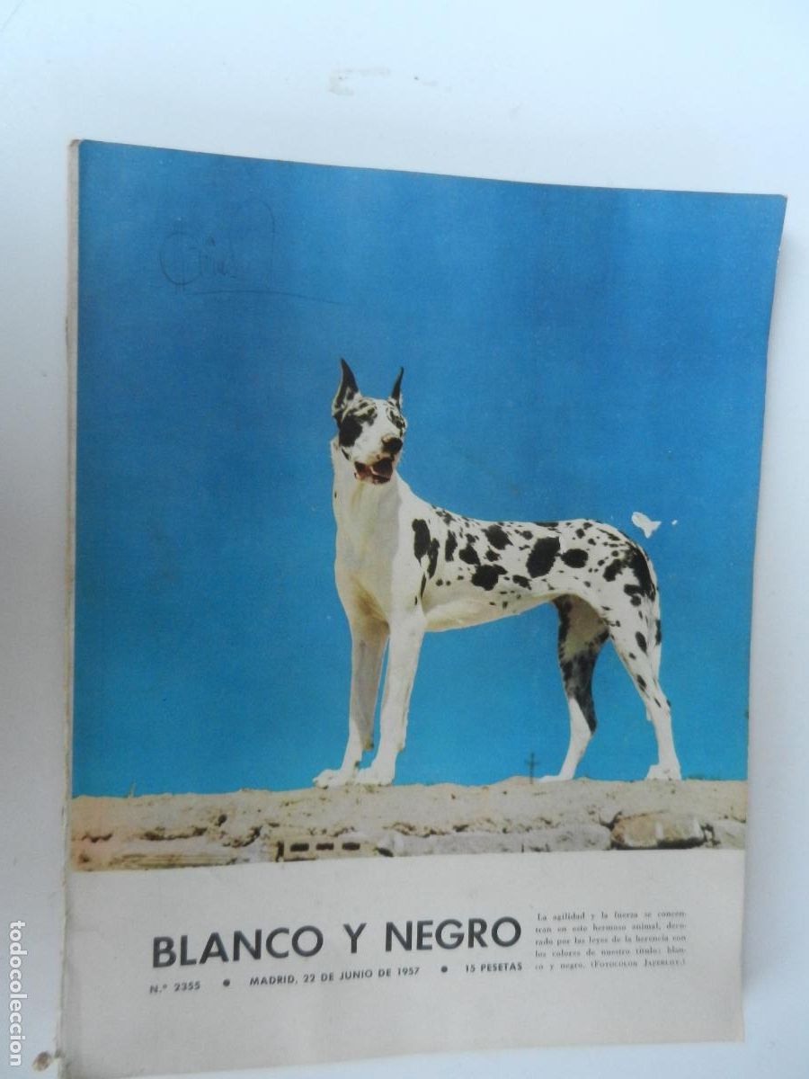 Coleccionismo de Revista Blanco y Negro: BLANCO Y NEGRO N&ordm; 2355 - 06-1957 - ENTRE LA GUERRA Y LA PAZ - EL REINO DE HUSSEIN ...