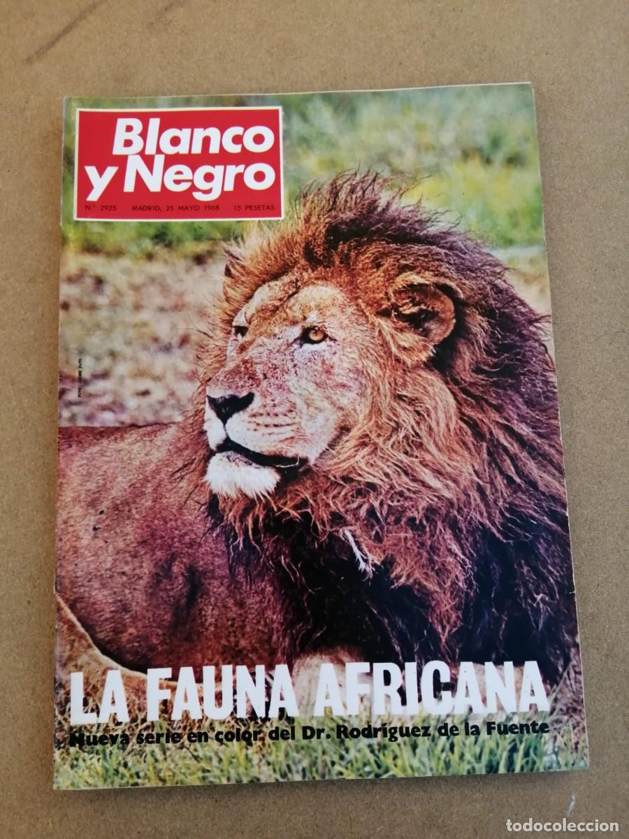 Coleccionismo de Revista Blanco y Negro: REVISTA BLANCO Y NEGRO (NUMERO 2925) LA FAUNA AFRICANA, POR RODRIGUEZ DE LA FUENTE