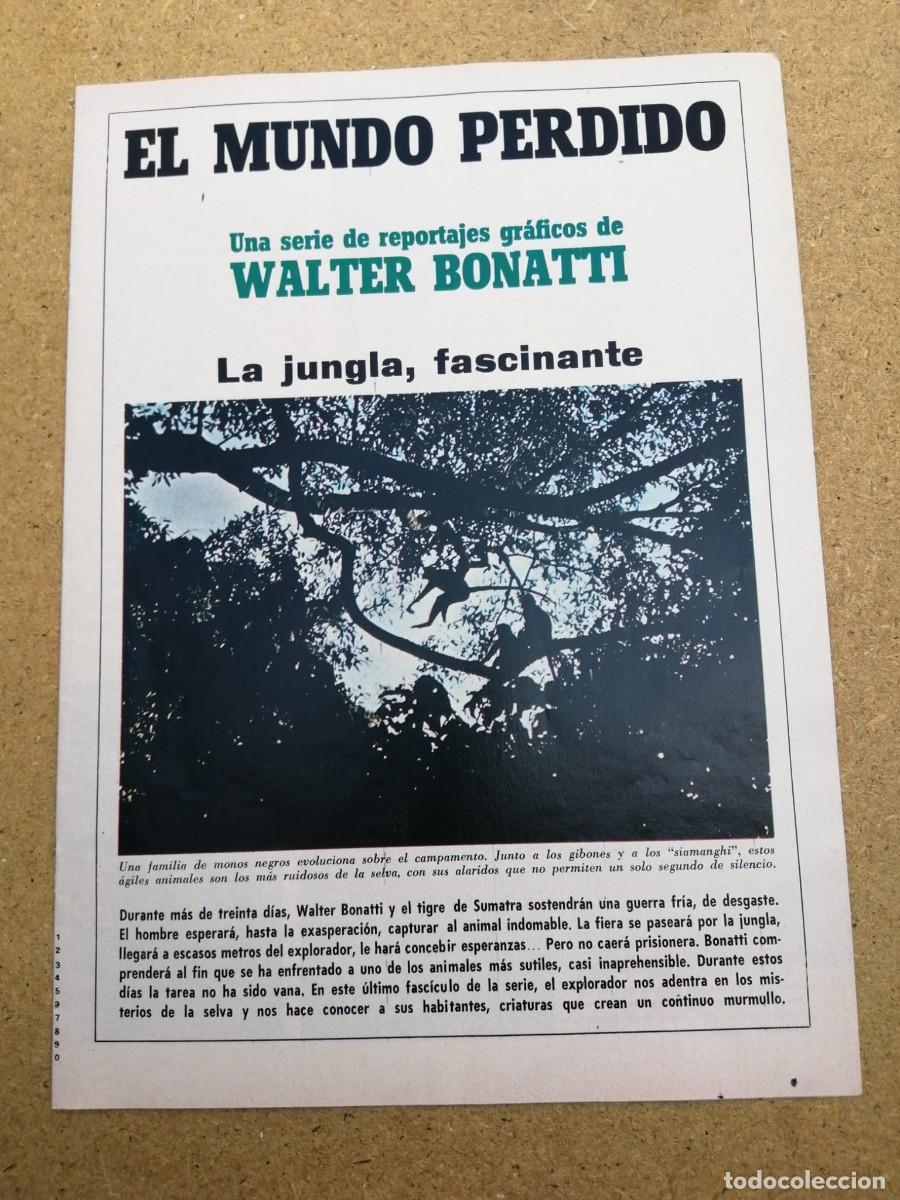 Coleccionismo de revista Blanco y Negro: REVISTILLA BLANCO Y NEGRO. EL MUNDO PERDIDO, POR WALTER BONATTI. LA JUNGLA FASCINANTE